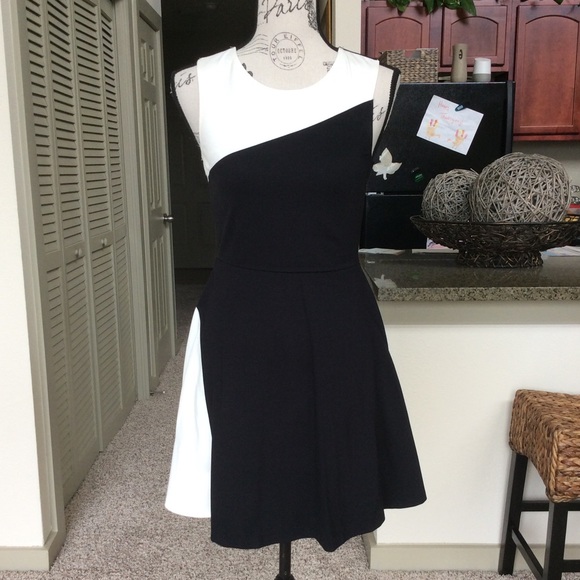 🌸 Color Blocked Skater Dress 🌸 - Picture 1 of 6